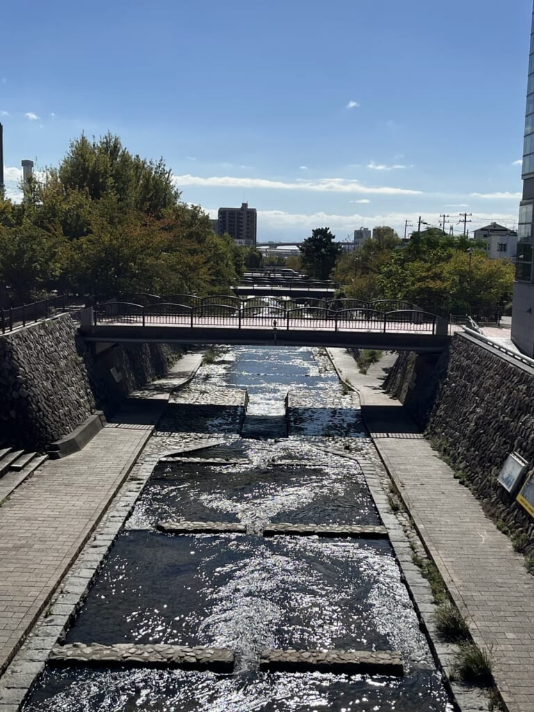 橋の上から南を見た都賀川。段々の流れの先に橋がいくつも続く(私が撮影)