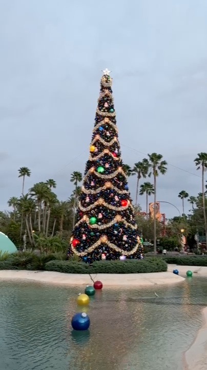 ハリウッド・スタジオのクリスマスツリー（私が撮影）